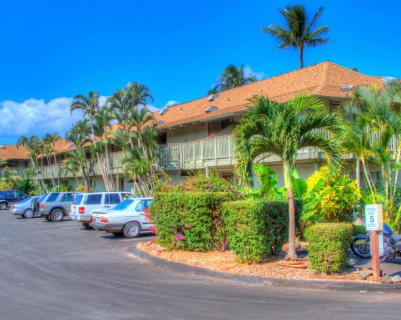 Kihei Bay Surf 130- Garden View Studio, Free Parking Apartment Exterior photo