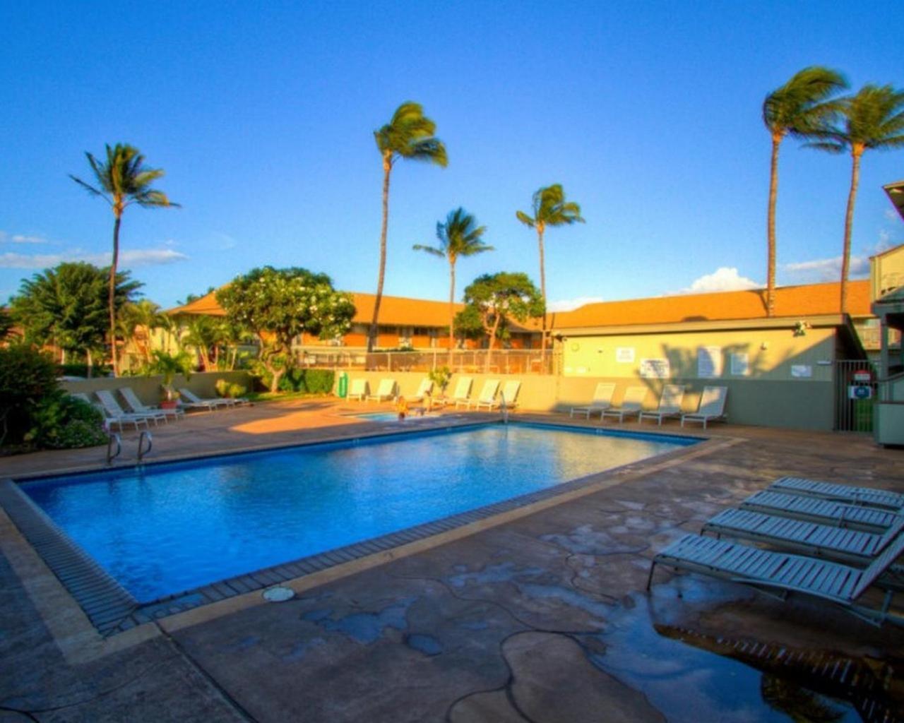 Kihei Bay Surf 130- Garden View Studio, Free Parking Apartment Exterior photo